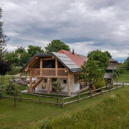 Holiday Home Virida, App Leopold III Ivancna Gorica 外观 照片