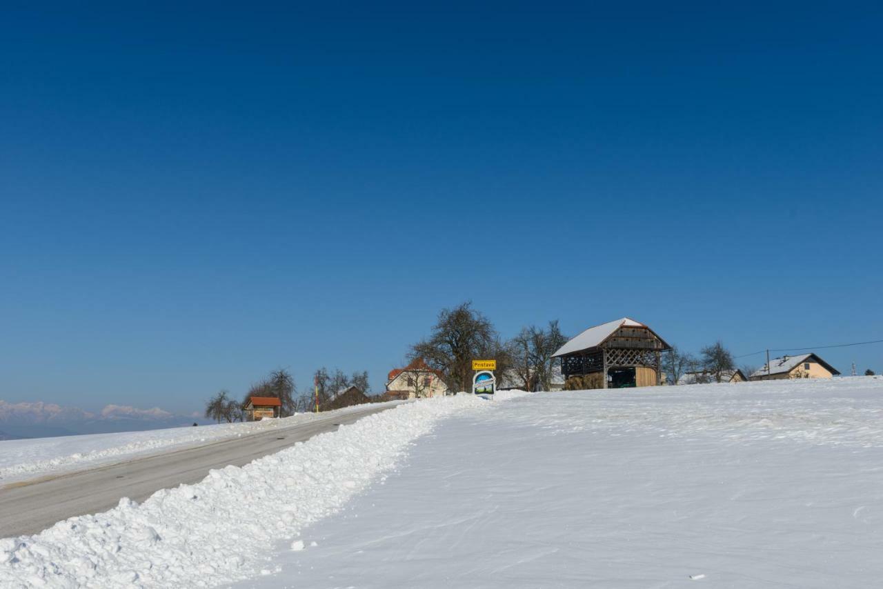 Holiday Home Virida, App Leopold III Ivancna Gorica 外观 照片